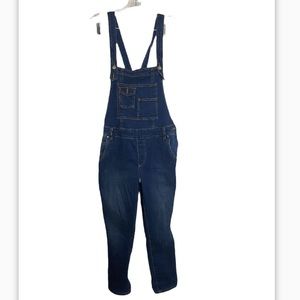 Free People Denim Overalls